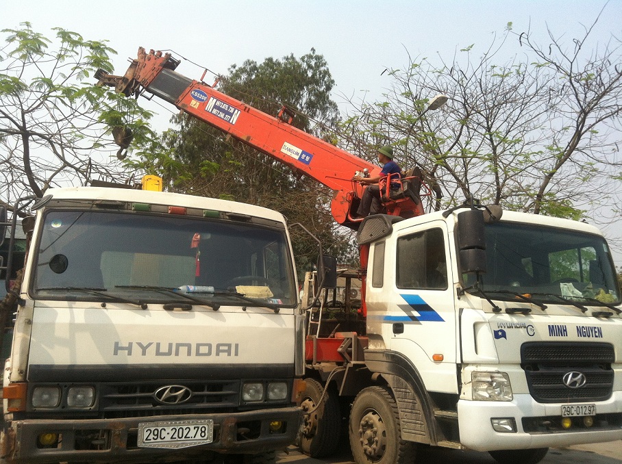 cẩu 20 tấn